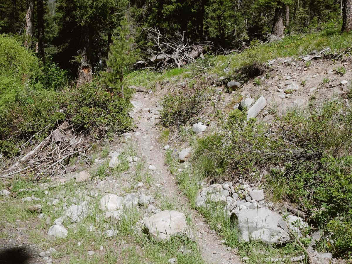 Ditch Creek photo 5