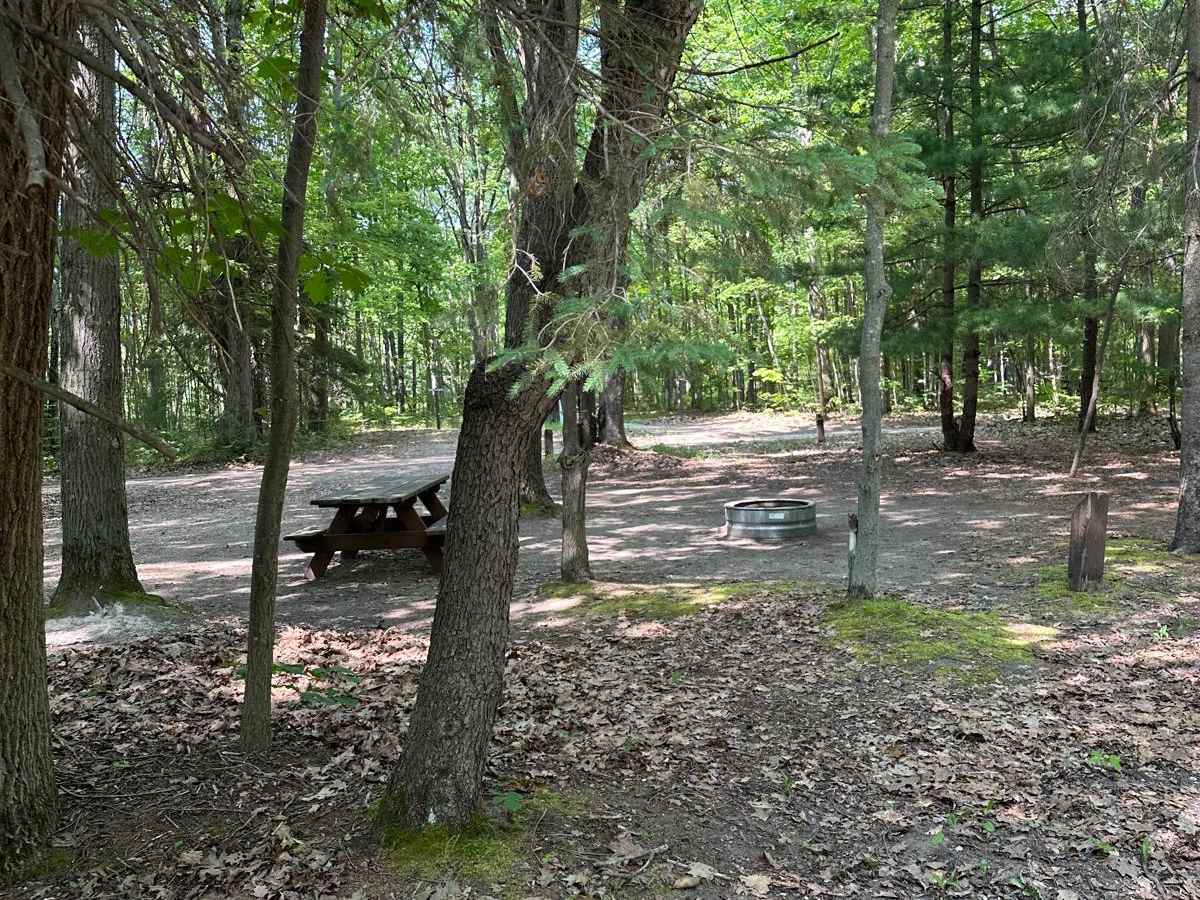 Grass Lake Dam Part 1 photo 6