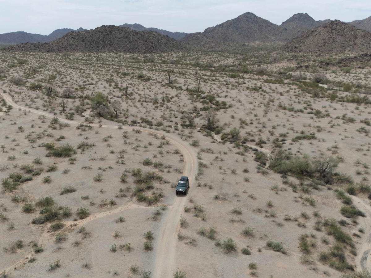 Sonoran Desert National Monument Trail photo 3