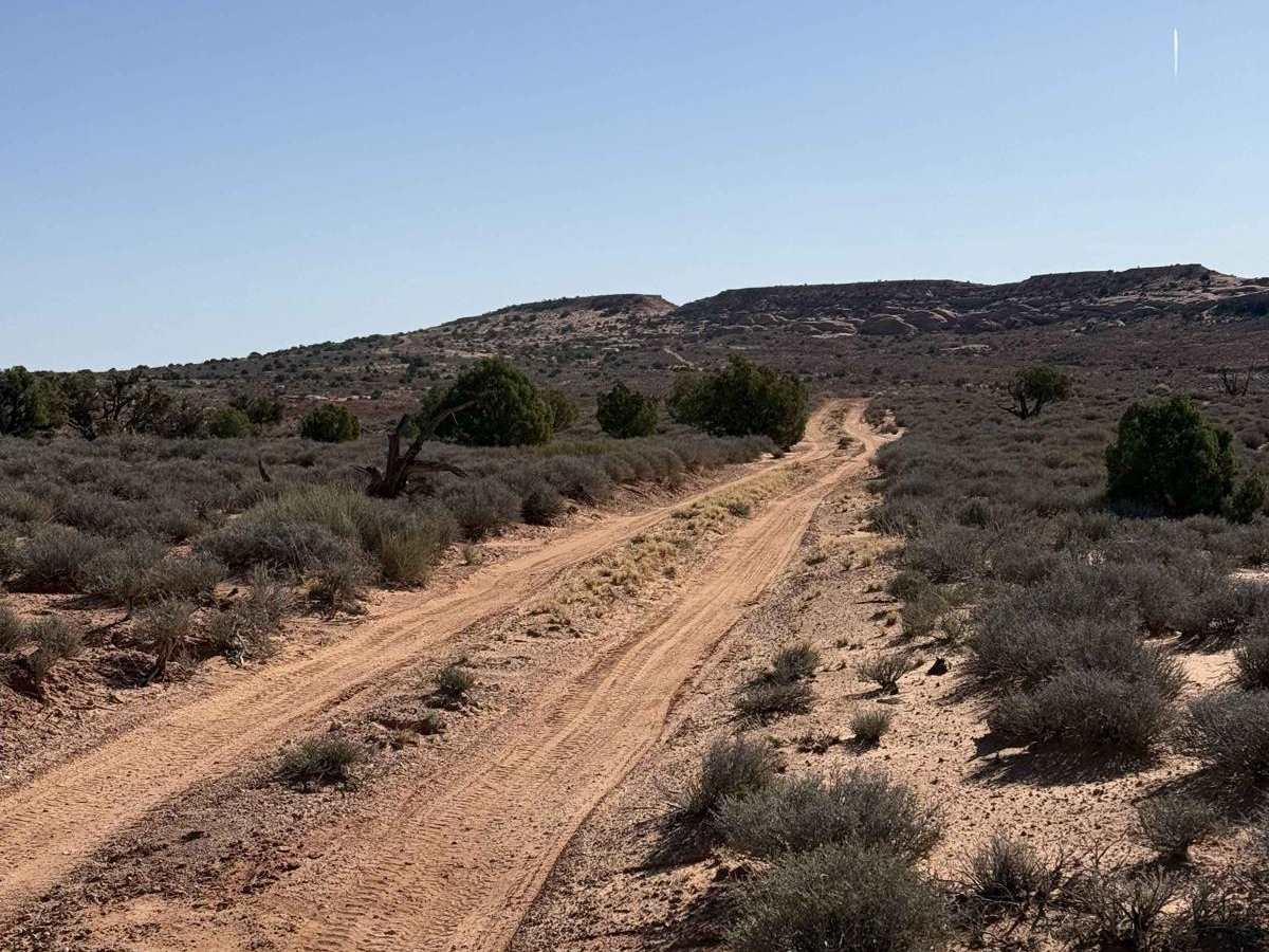 South Horseshoe Canyon photo 2