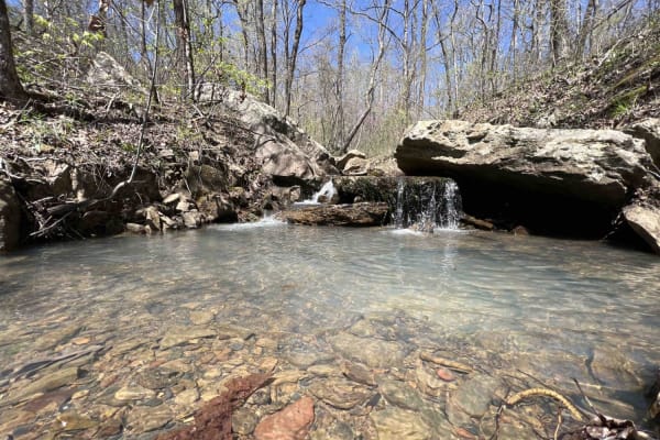Fanes Creek 1520