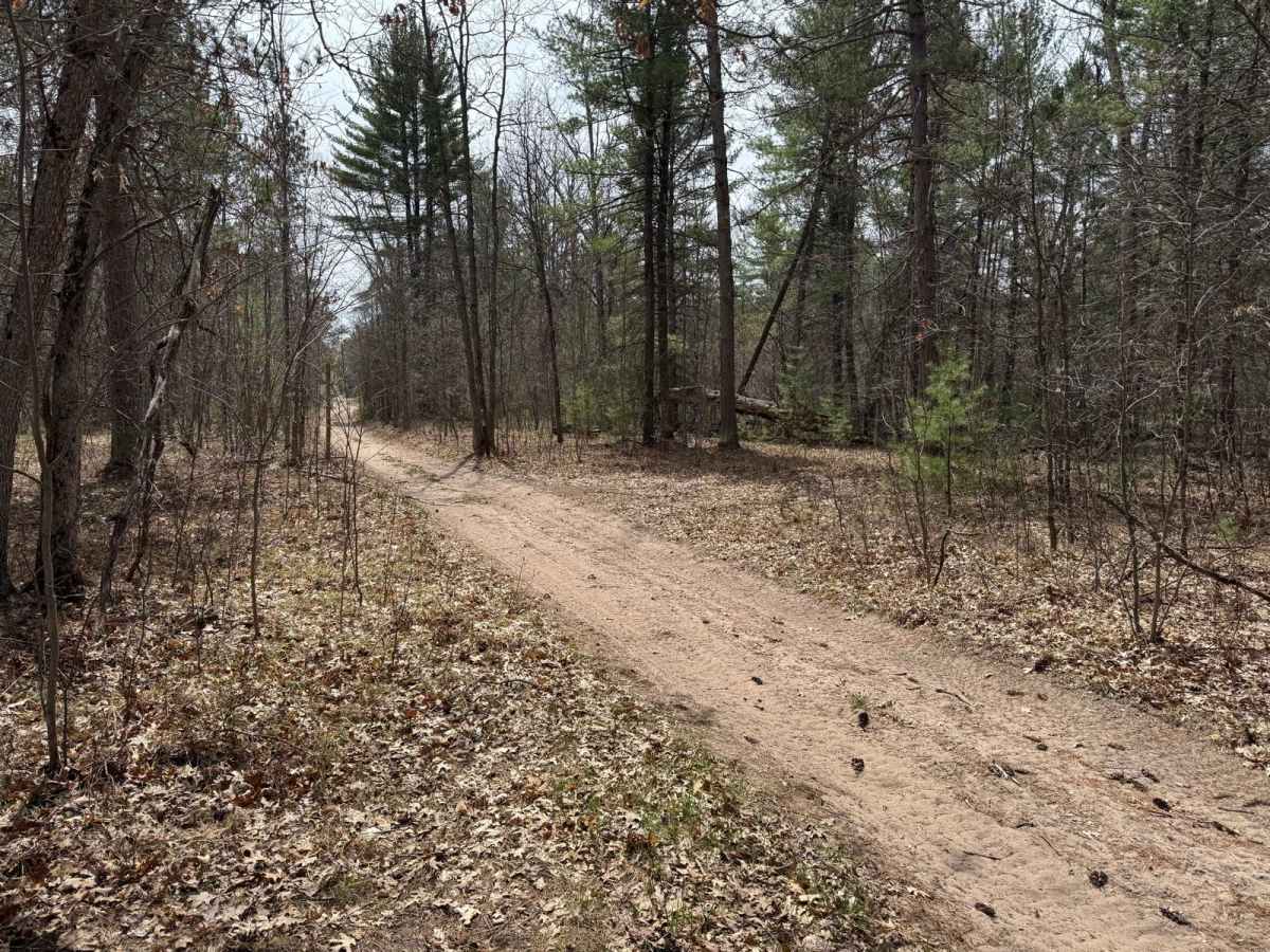 MCCCT - Grand Traverse to Supply Road trail photo