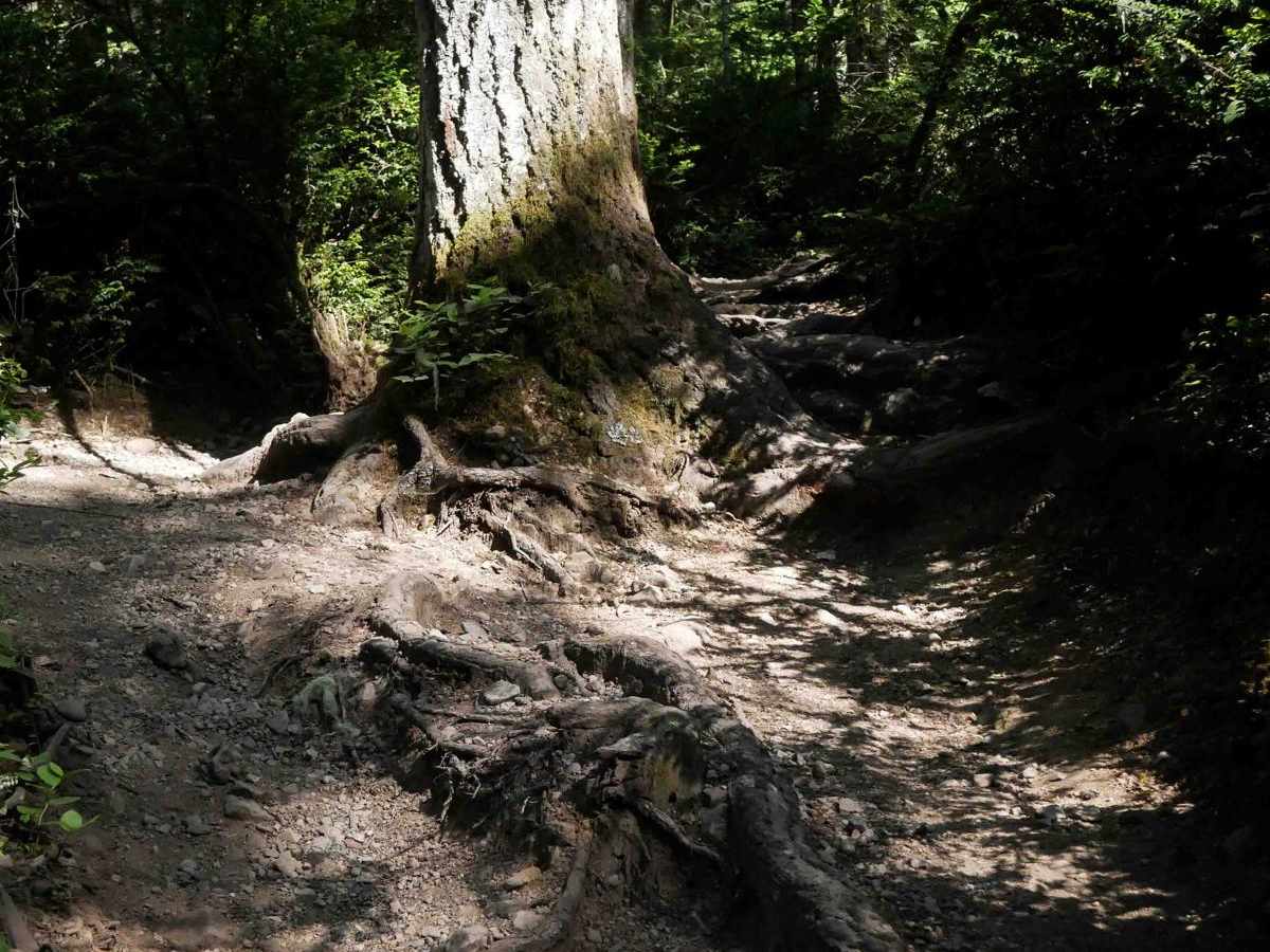 Gold Creek photo 2