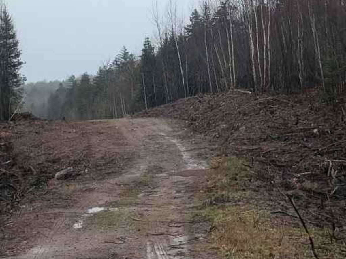 Claudie Pit Backroad photo 5