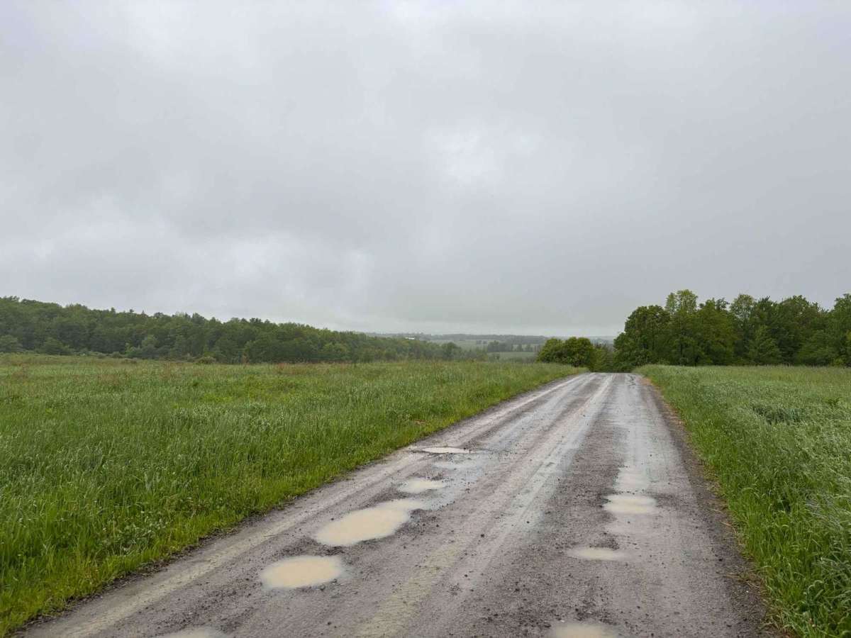 Gay Road photo 5