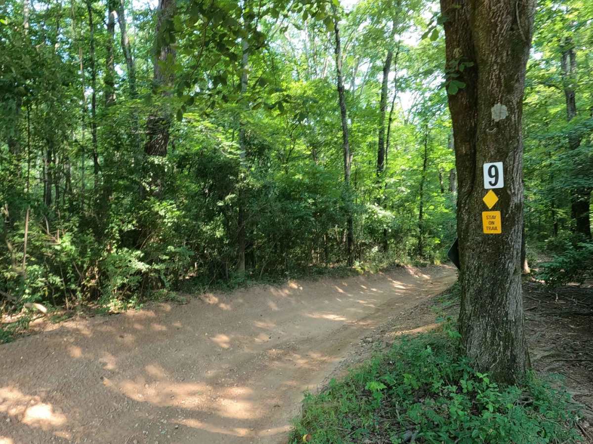 9 to 8 Road trail photo