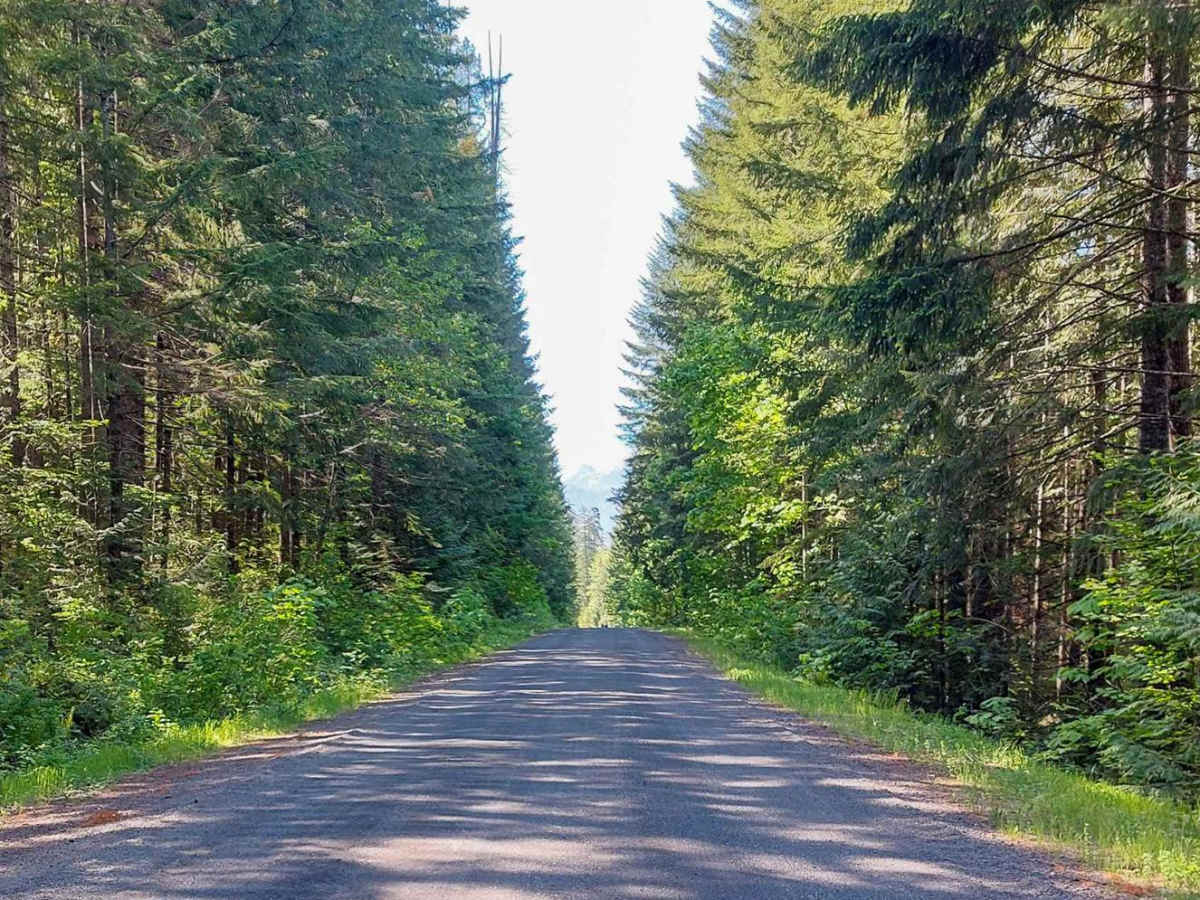 FS2340 to Spider Lake trail photo