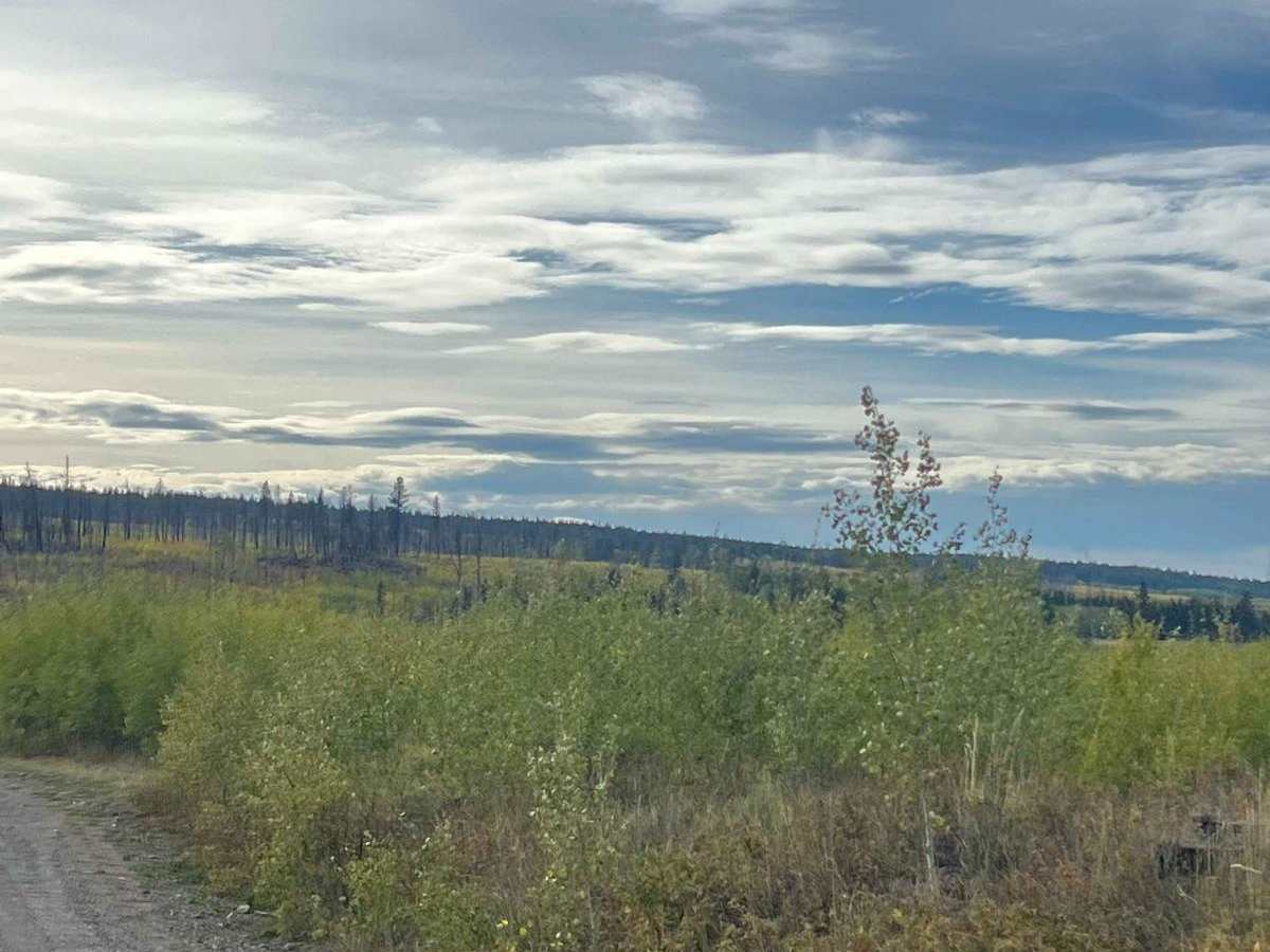 Lake Helena Road photo 3