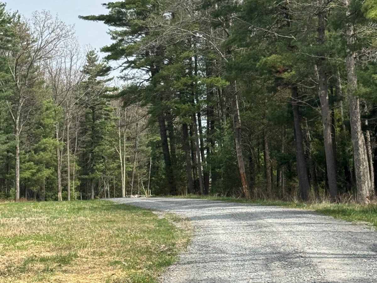 Lebo Road photo 5