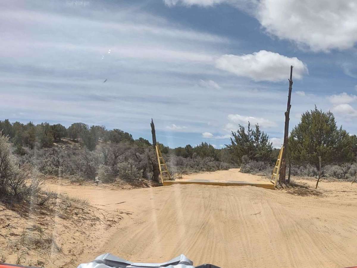 Sandy Grand Prix (BLM 104C) photo 2