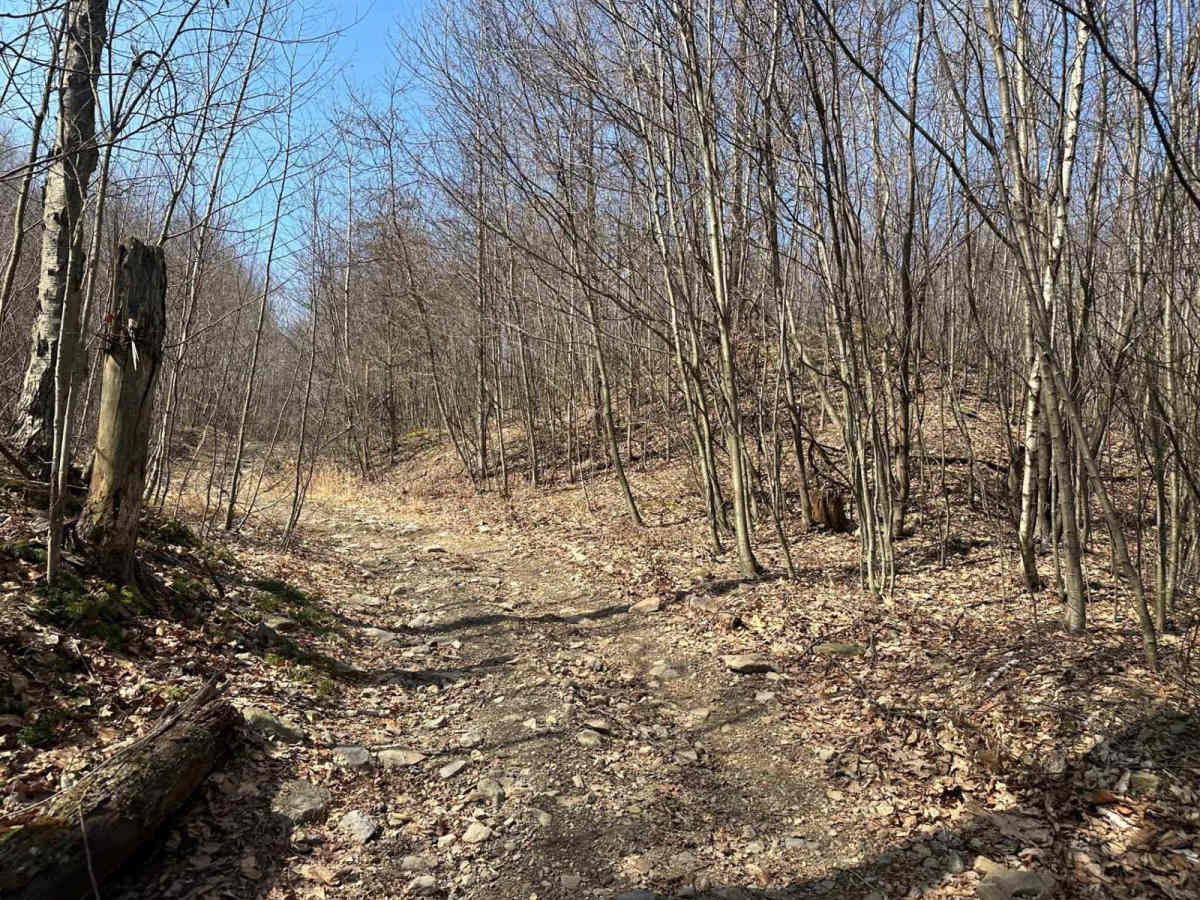 Ashland 112 photo 5