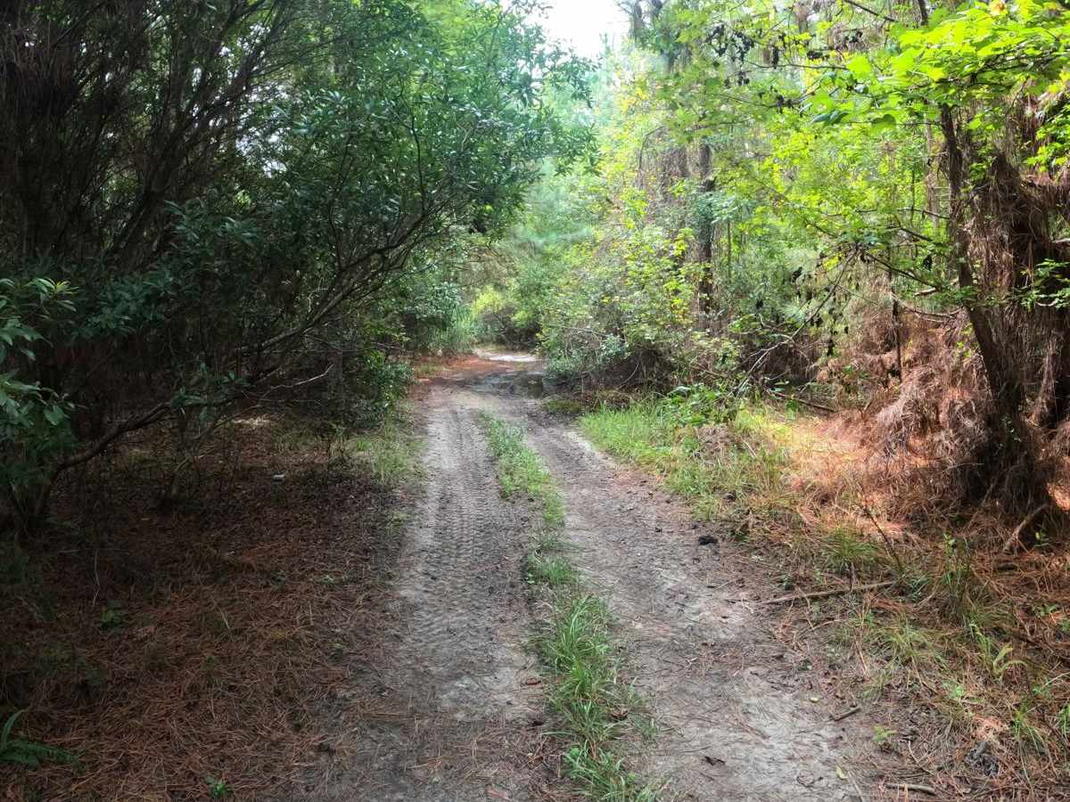 Laiklynn's Lane photo 6