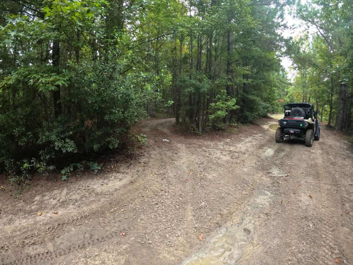 Beaten Path photo 6
