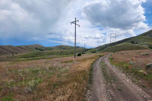 Powerline Road