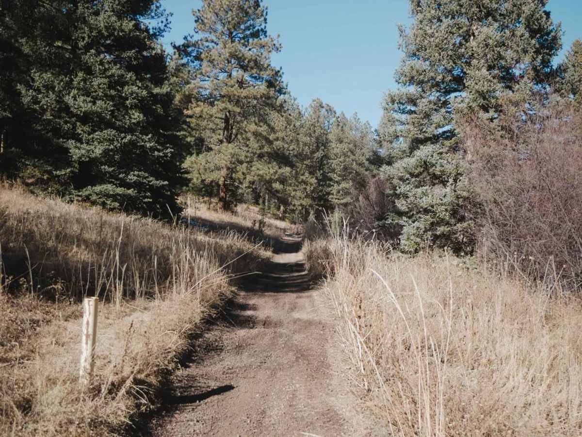 675 Noddle ATV Trail photo 6
