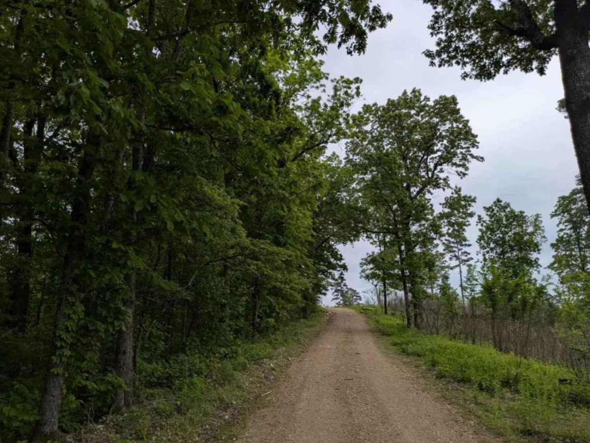 1119 trail photo