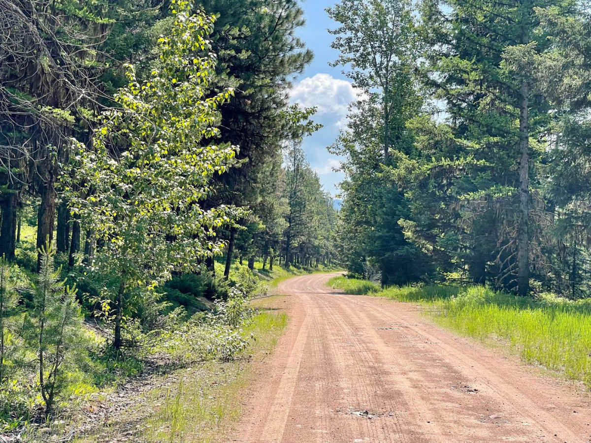 Auggie Cutoff Trail photo 4