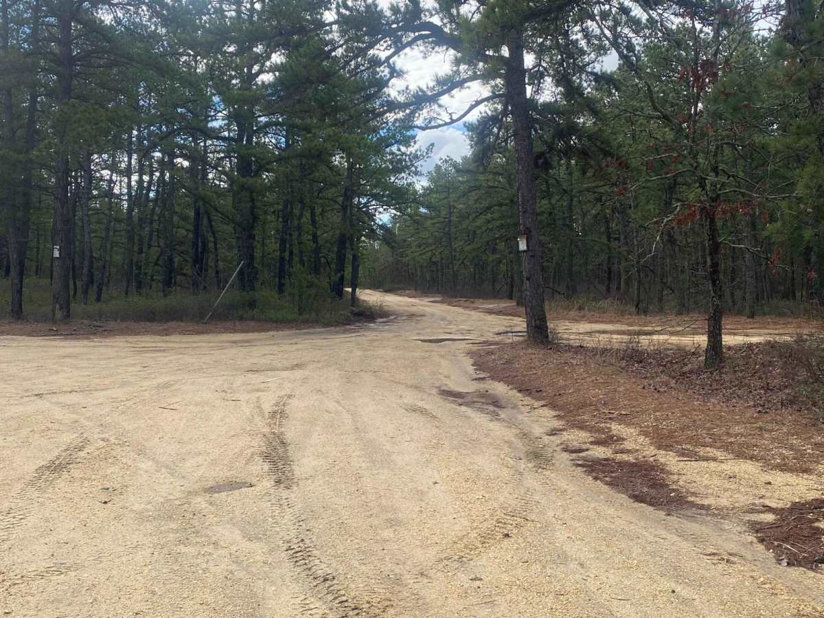 Tuckerton Road Trail trail photo