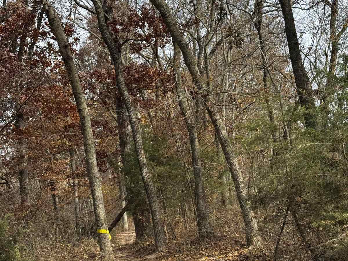 Bounty Hill Access photo 4