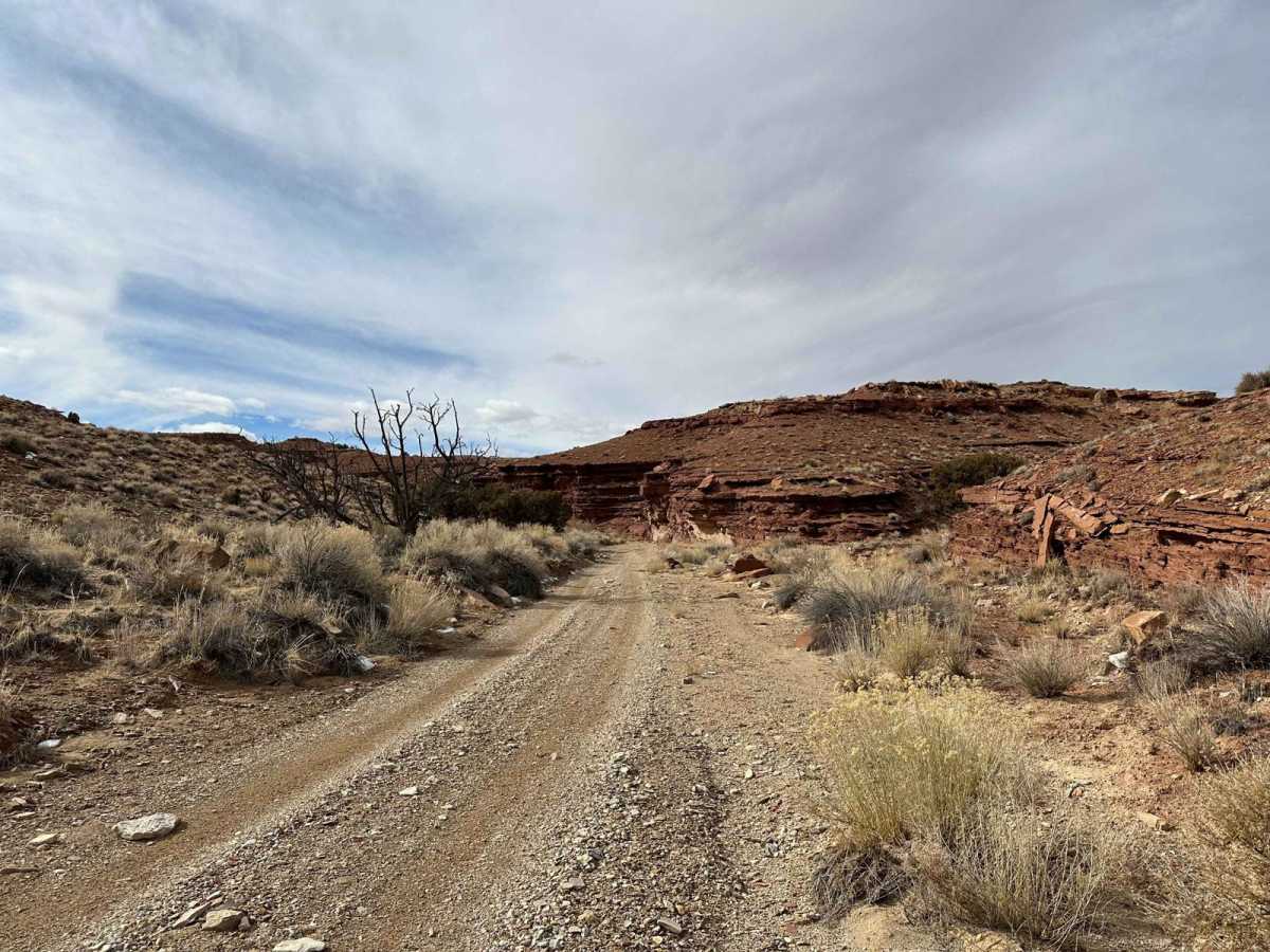 Little Wild Horse Canyon photo 5