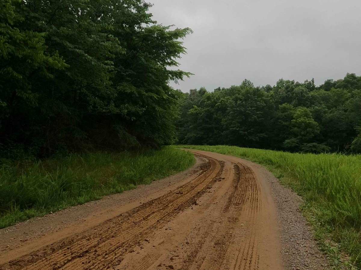 Bear Creek Road FSR 229 photo 5