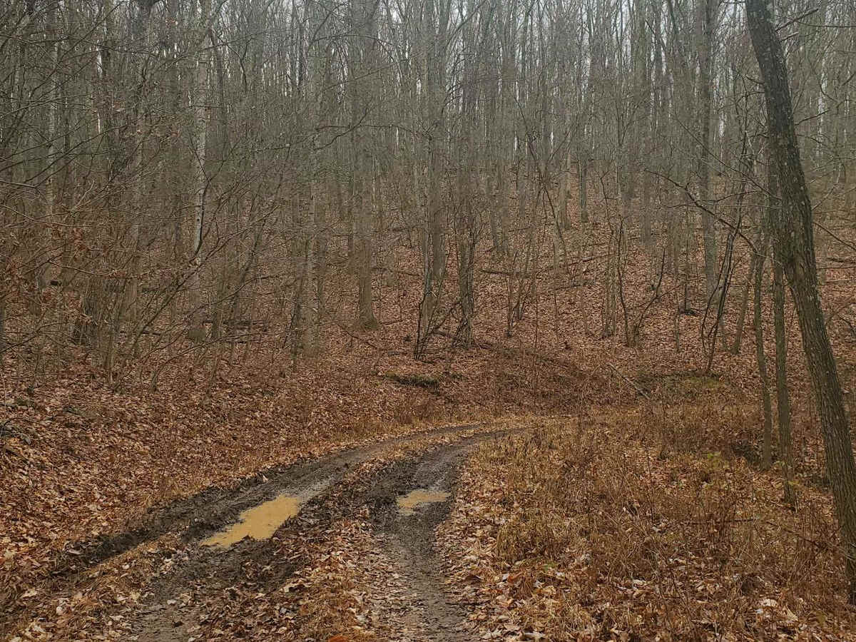 Stillhouse Run Road (FS304) photo 3