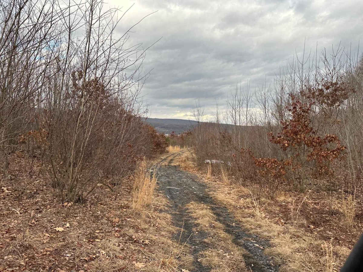 Ashland 181 photo 2