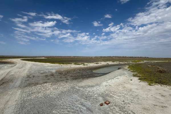 Western Coastal Connection