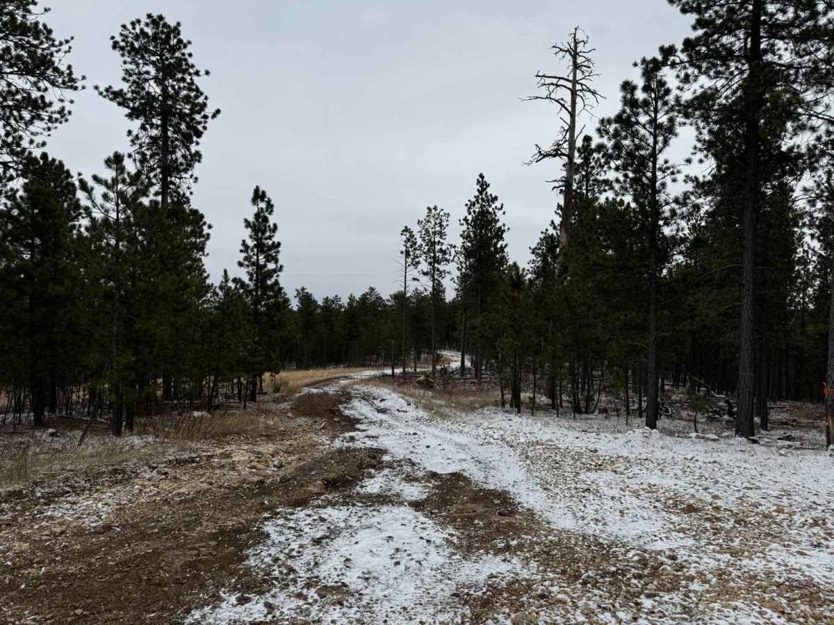 Nemo 8277 trail photo