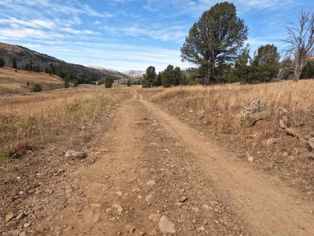 Cottonwood Creek Road - FS1012 photo 3