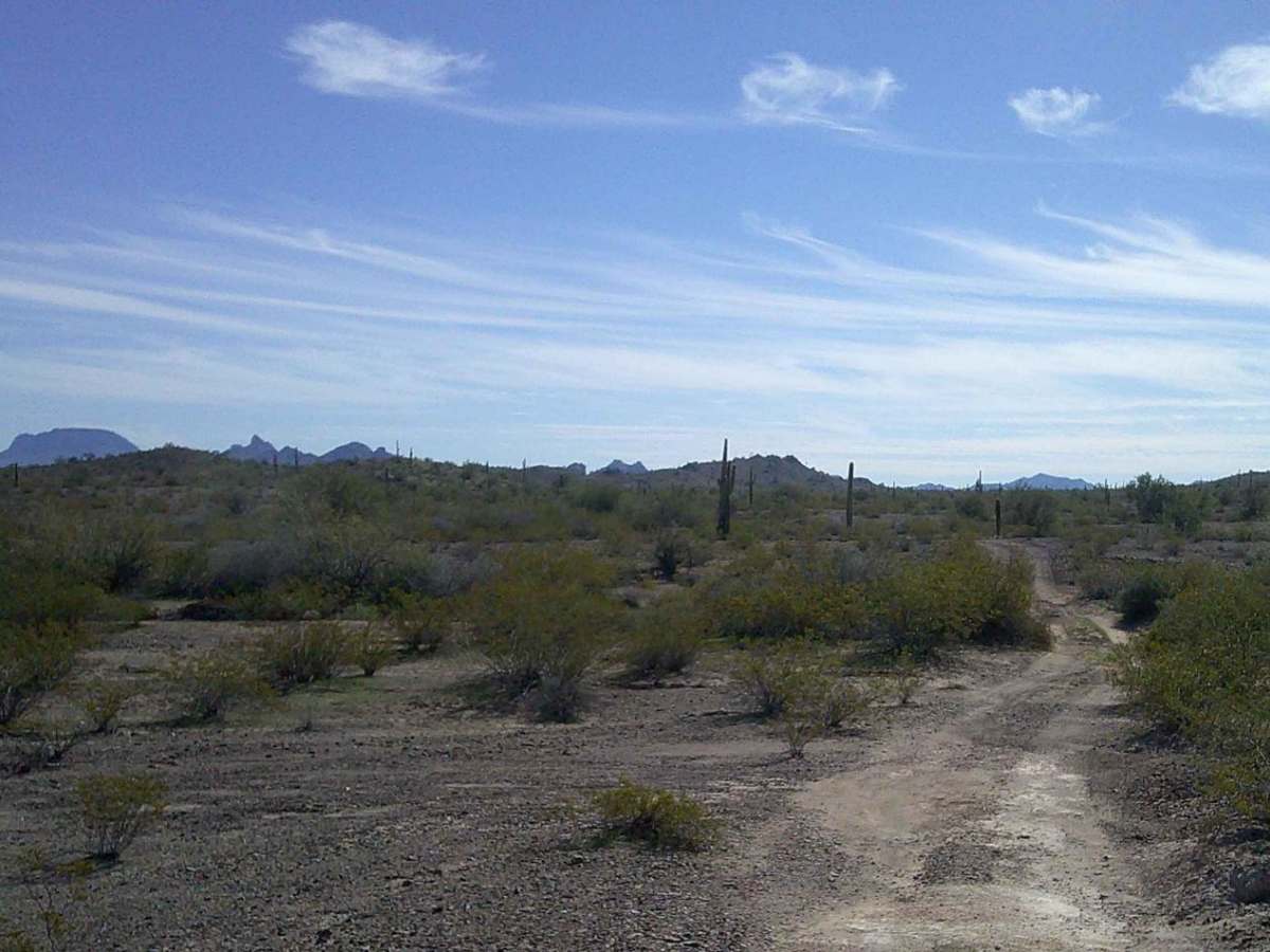 White Peaks trail photo