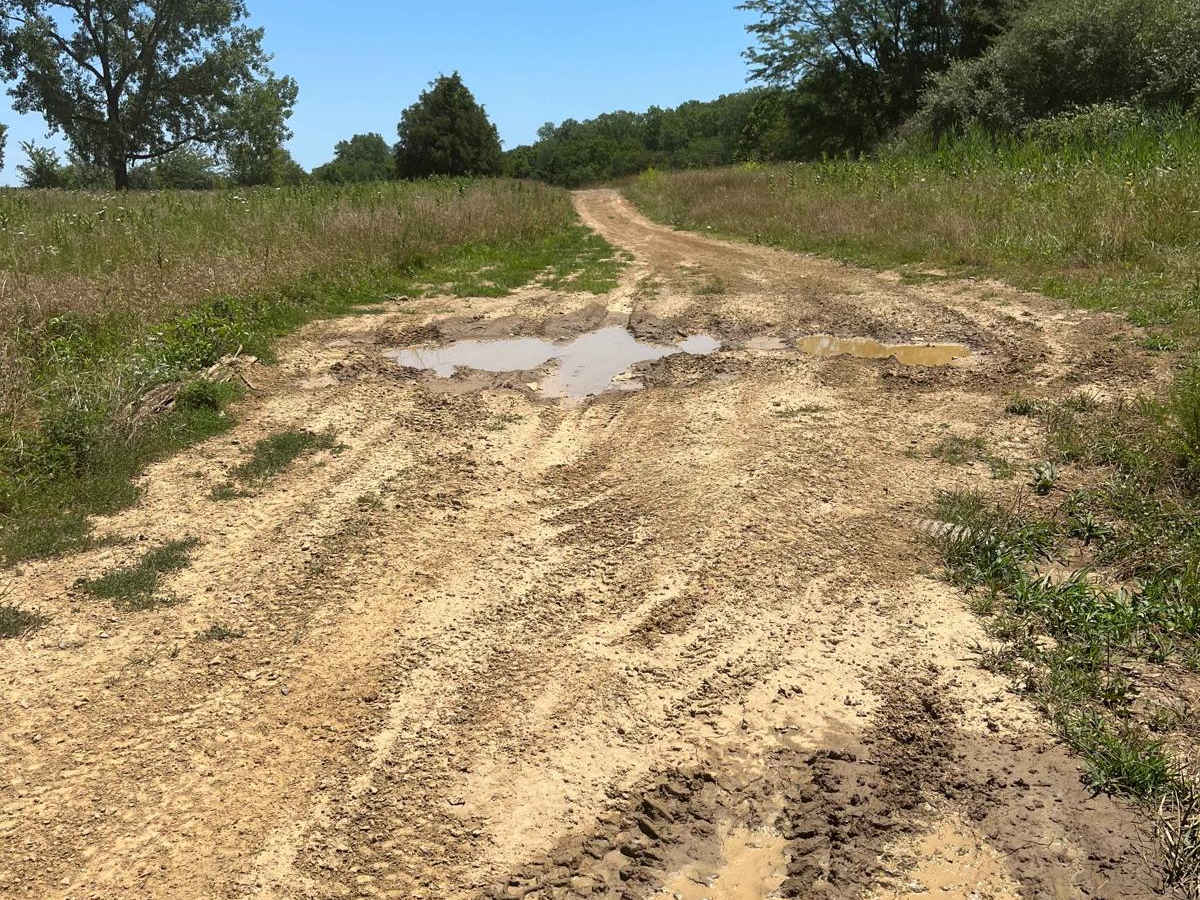 East Field Access Trail photo 4