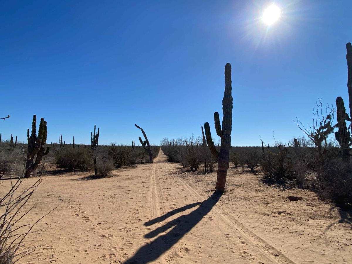 Nasty L trail photo