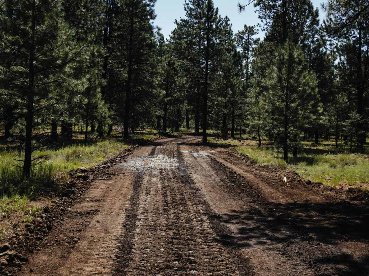 Mud Logger photo 2