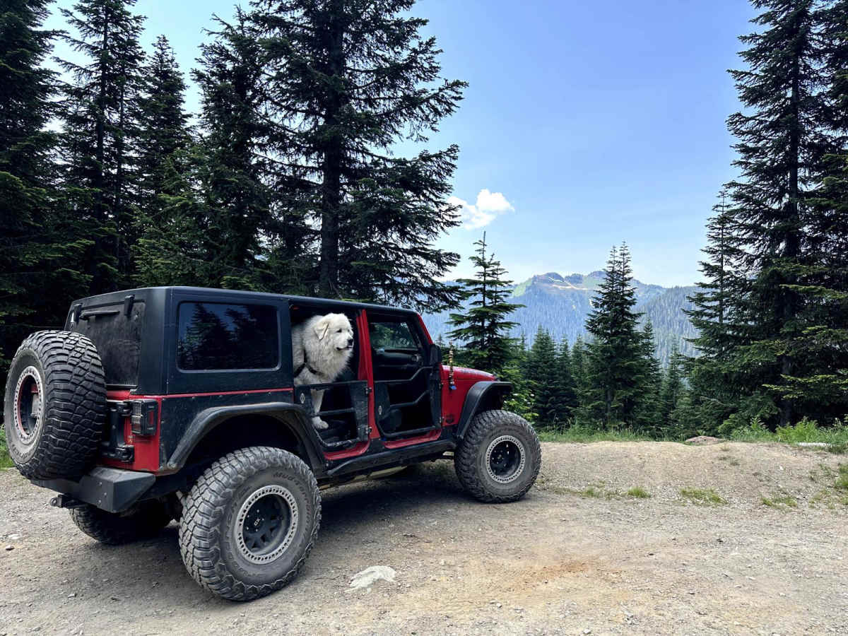 Canyon Creek Road trail photo