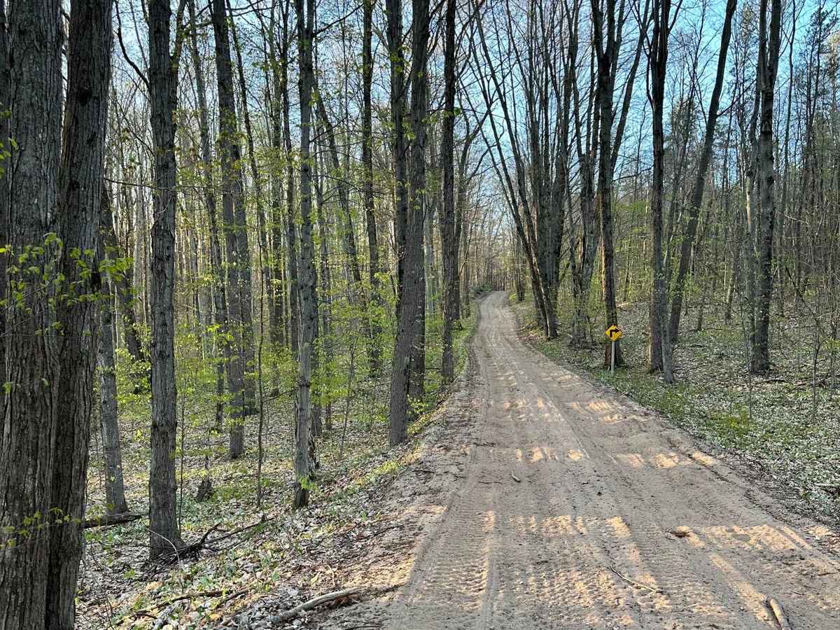 Cadillac Area ORV/OHV Scenic Ride - Part 21 trail photo