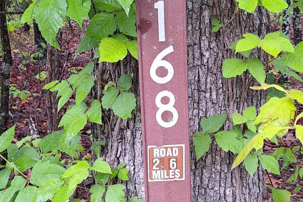 Anderson Hollow (FSR 2168)