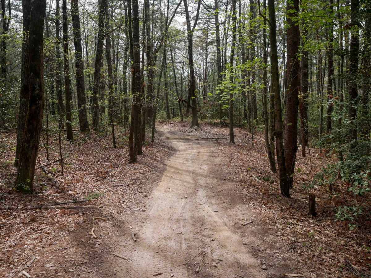 Trail 1B photo 5