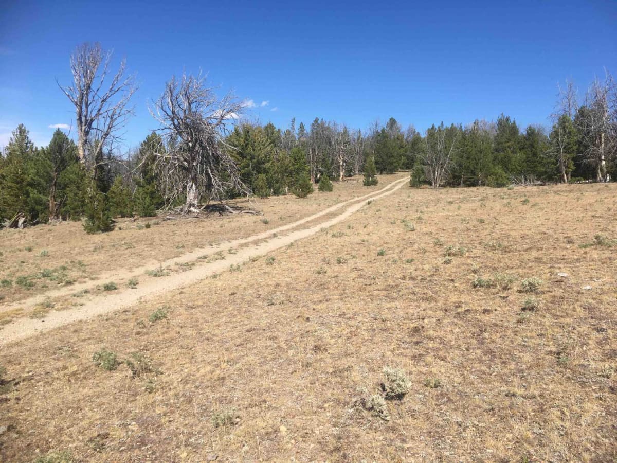 Reese Creek Trail photo 5