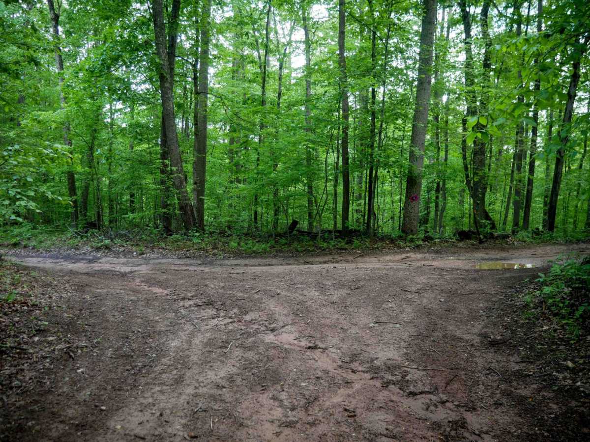Trail 2 photo 3