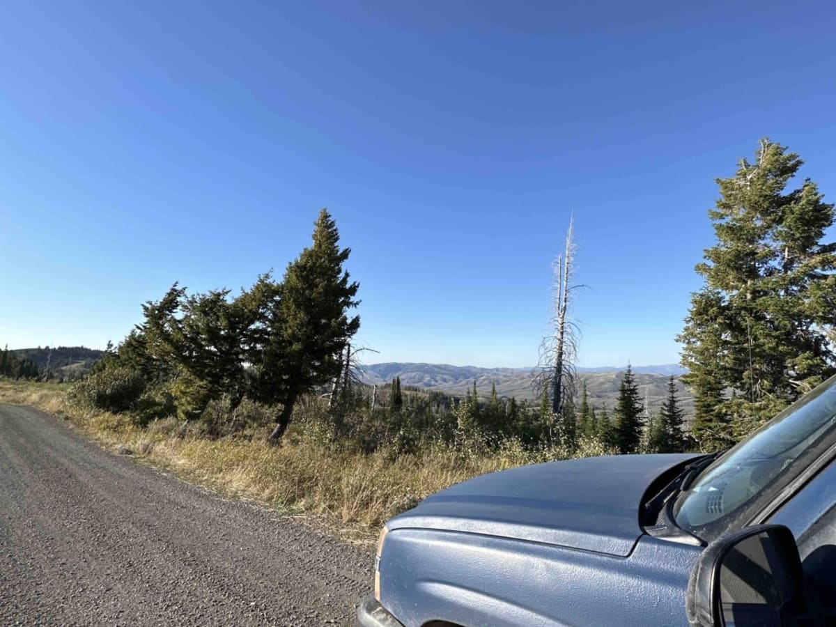 Skyline Ridge - Brockman FS 40075 trail photo