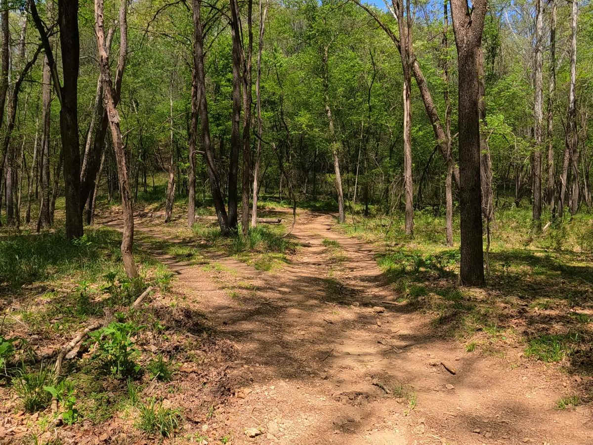 Stacked Log Trail photo 4