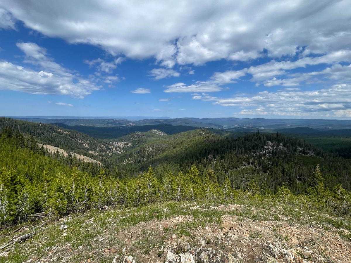 Winom/Frazier OHV Loop trail photo