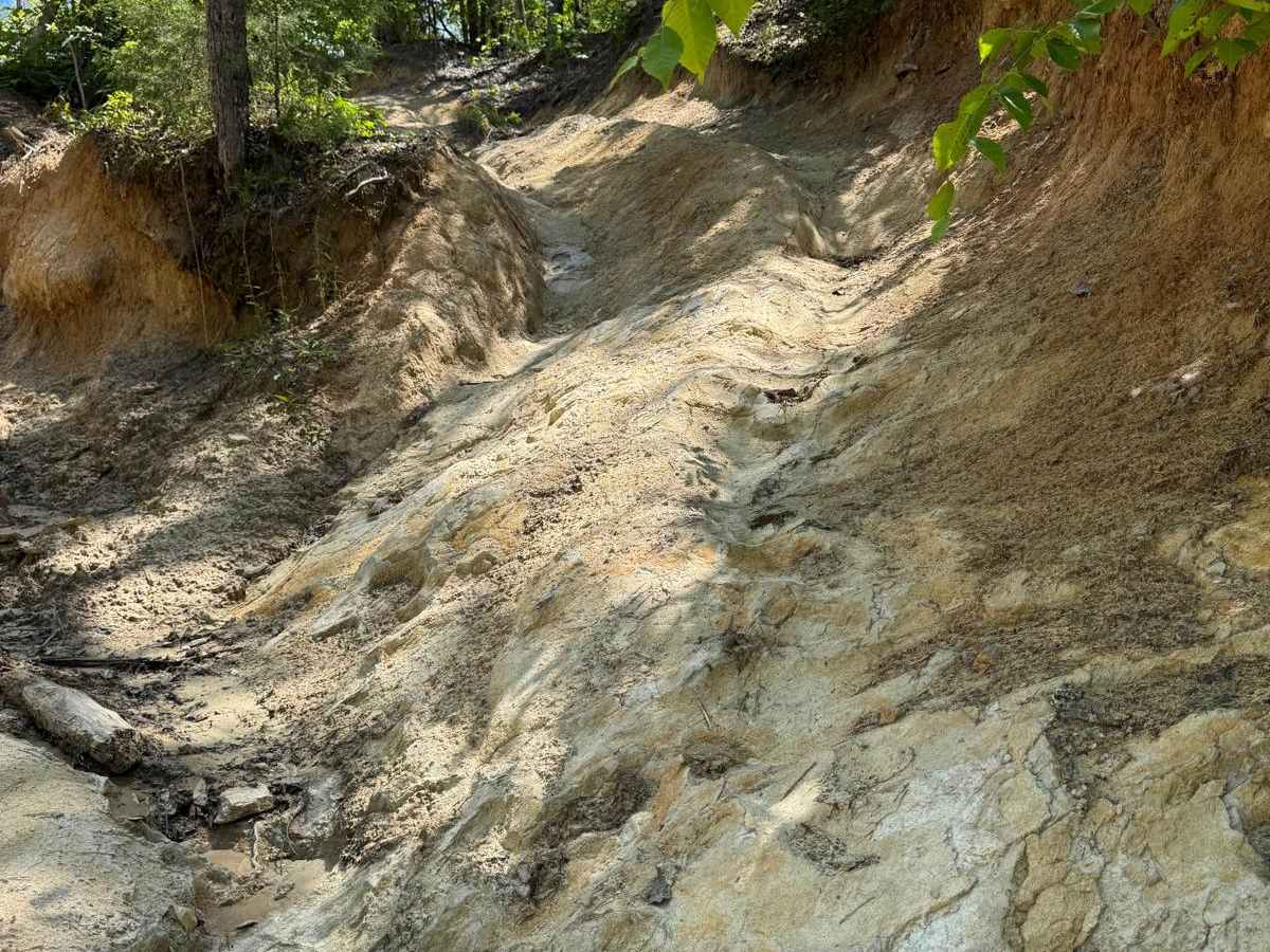 Radical Ravine photo 5