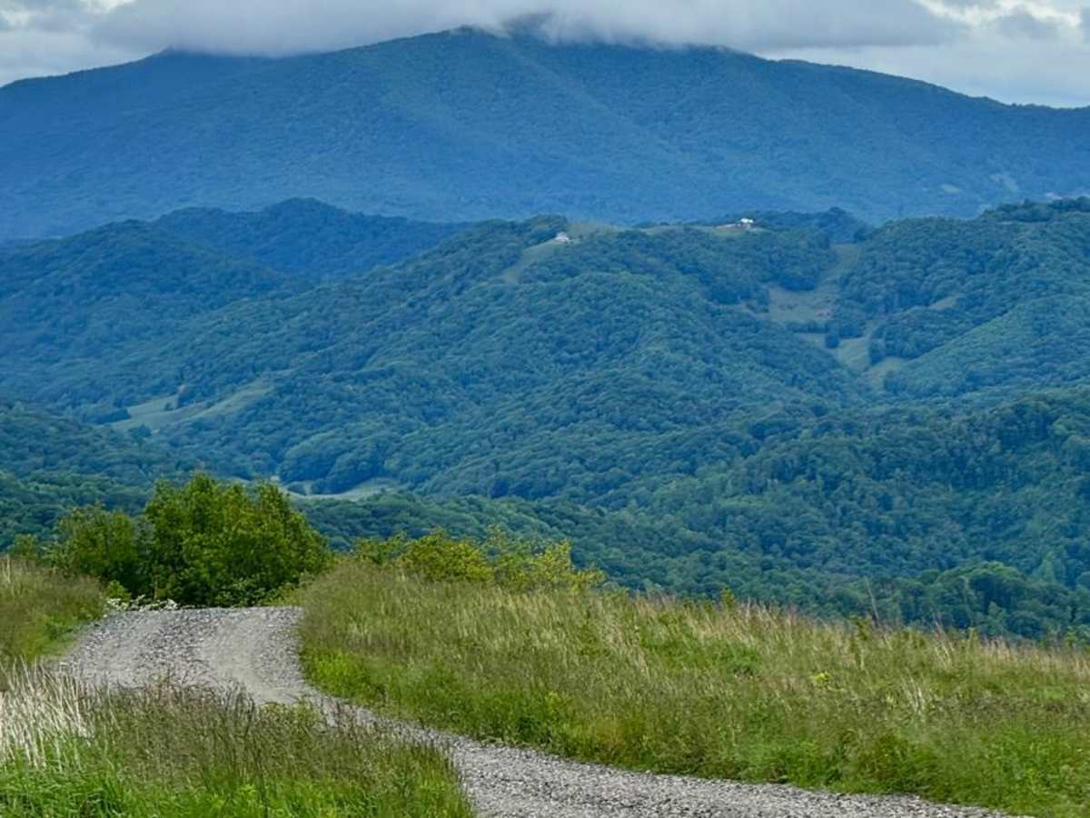 Pond Mountain Game Land Access Road photo 3