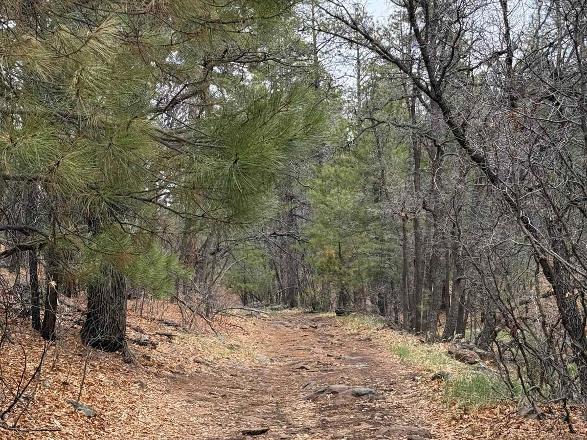 Trail 57 photo 4