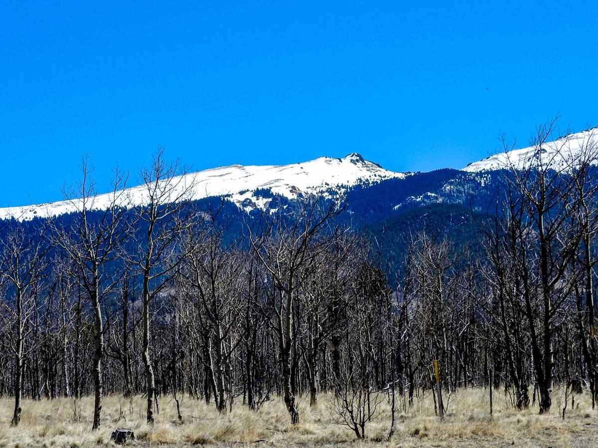 Weber Gulch Road FR 189 photo 4