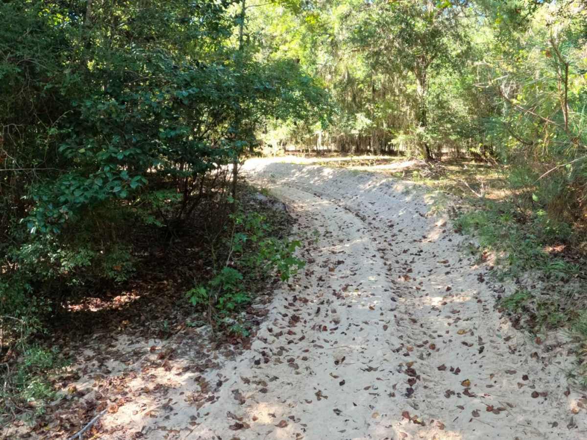 Tranquility Trail photo 3