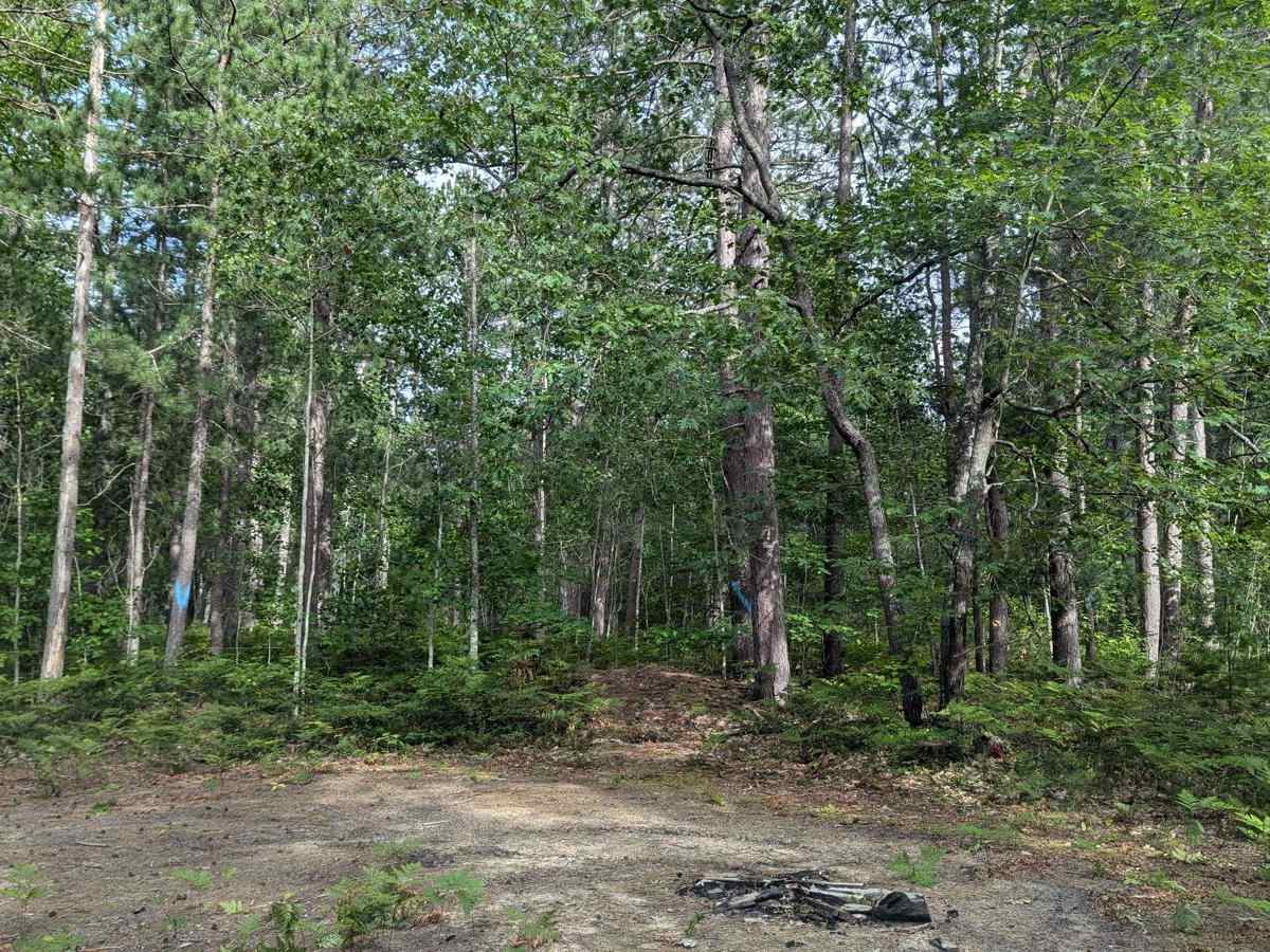 Orchard Lake trail photo