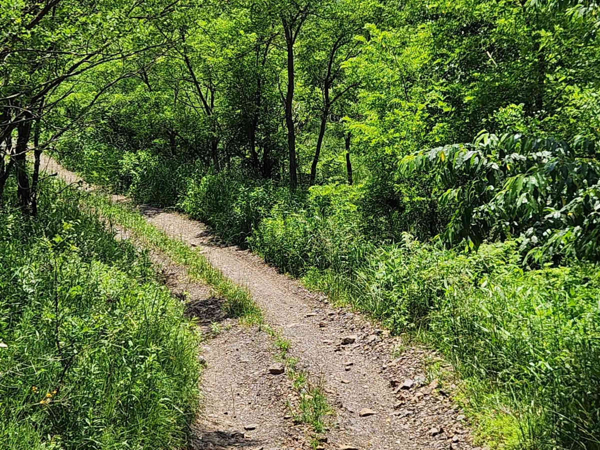 Trail 8 - Rock Run Recreation Area photo 5